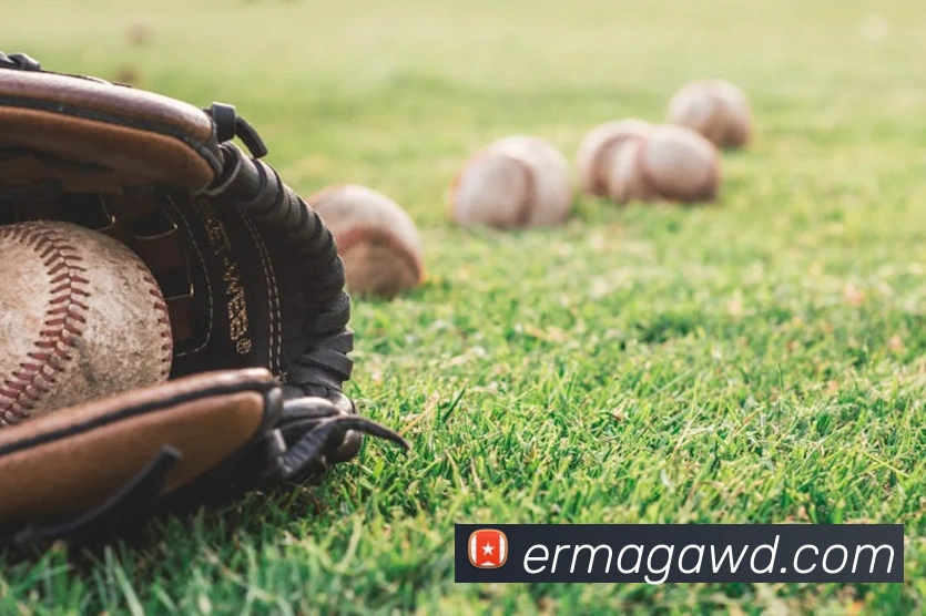 问鼎28平台生态图